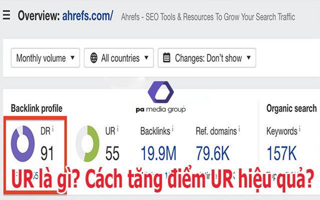 Chỉ số DR trong Seo là gì? Cách tăng điểm DR hiệu quả nhất?