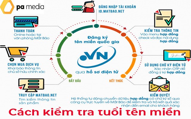 Hướng dẫn kiểm tra tuổi của tên miền với archive.org