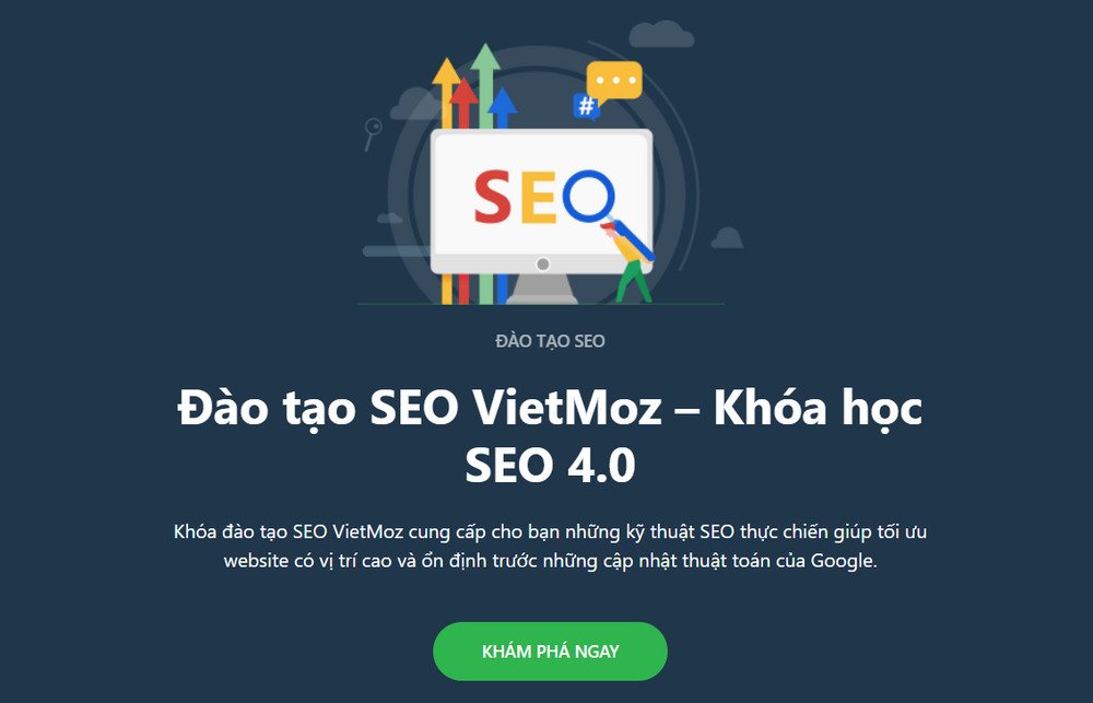 dao-tao-seo-vietmoz