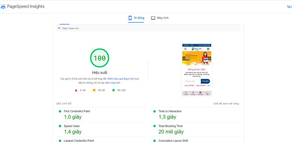 cham-diem-seo-pagespeed-insights