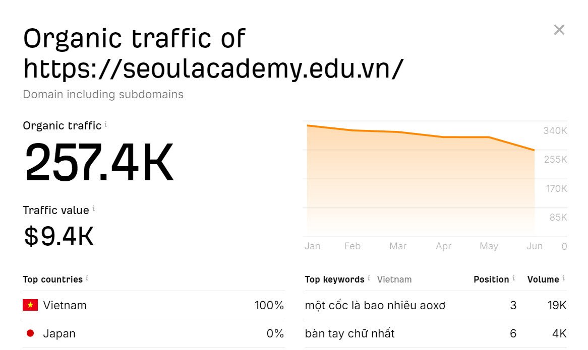 vi-du-organic-traffic