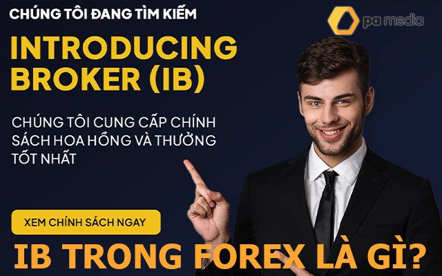 khai-niem-ib-trong-forex