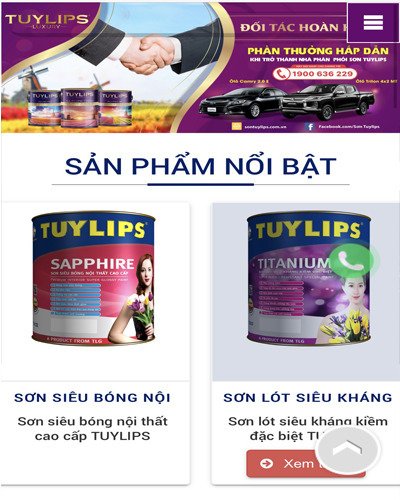 Mẫu web sơn Tuylip